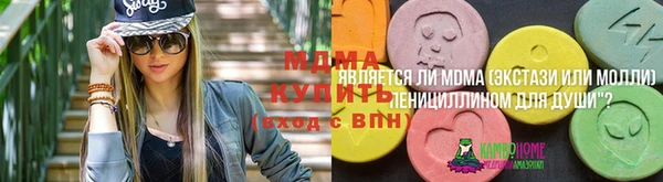 прущие грибы Арсеньев
