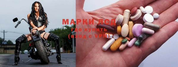 прущие грибы Арсеньев