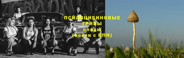 а пвп мука Балабаново
