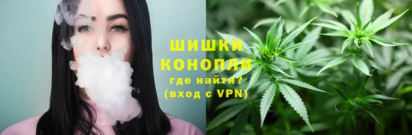 прущие грибы Балахна