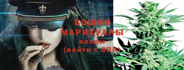 прущие грибы Арсеньев