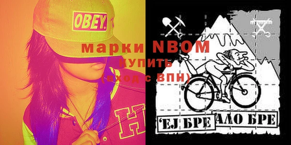 прущие грибы Балахна