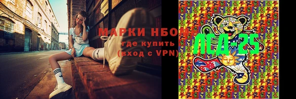 прущие грибы Арсеньев