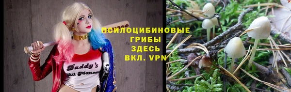 прущие грибы Арсеньев