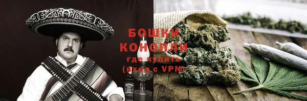 прущие грибы Балахна