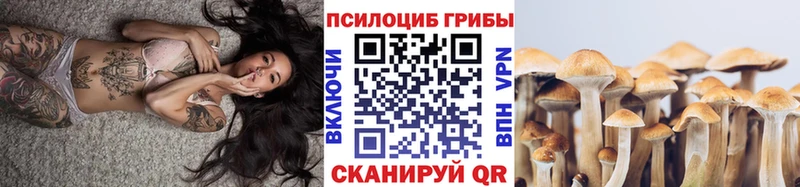Галлюциногенные грибы Psilocybe  ссылка на мегу как зайти  Дыгулыбгей  дарнет шоп 